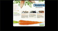 Desktop Screenshot of busybunny.com